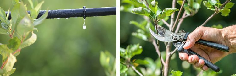 image6_Plan de travail 1