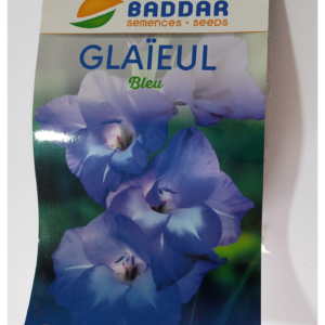 Glaïeul Bleu